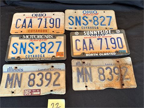 Automobile License Plates